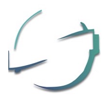 Inter-Management Logo